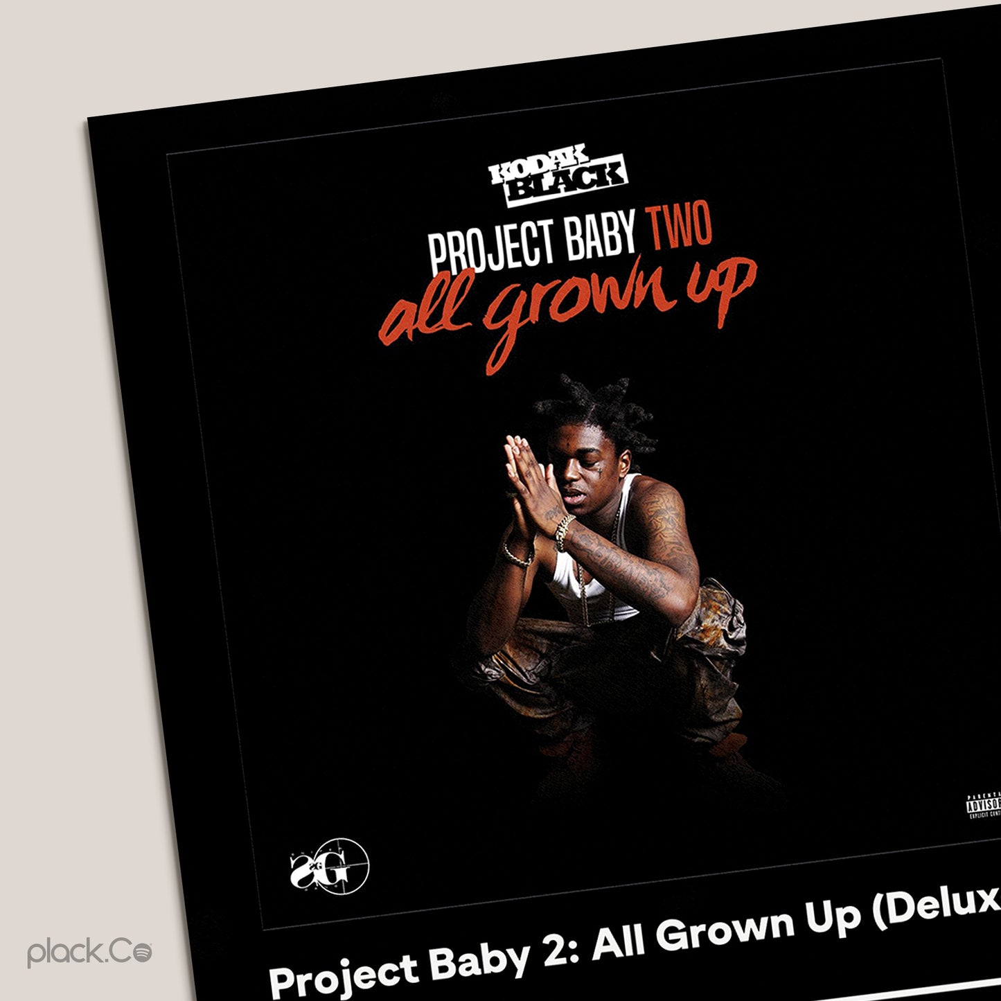 Project Baby 2 All Grown Up (Deluxe) Print