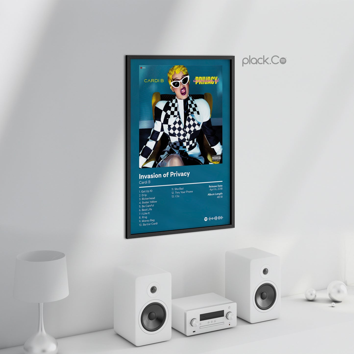 Invasion of Privacy Print